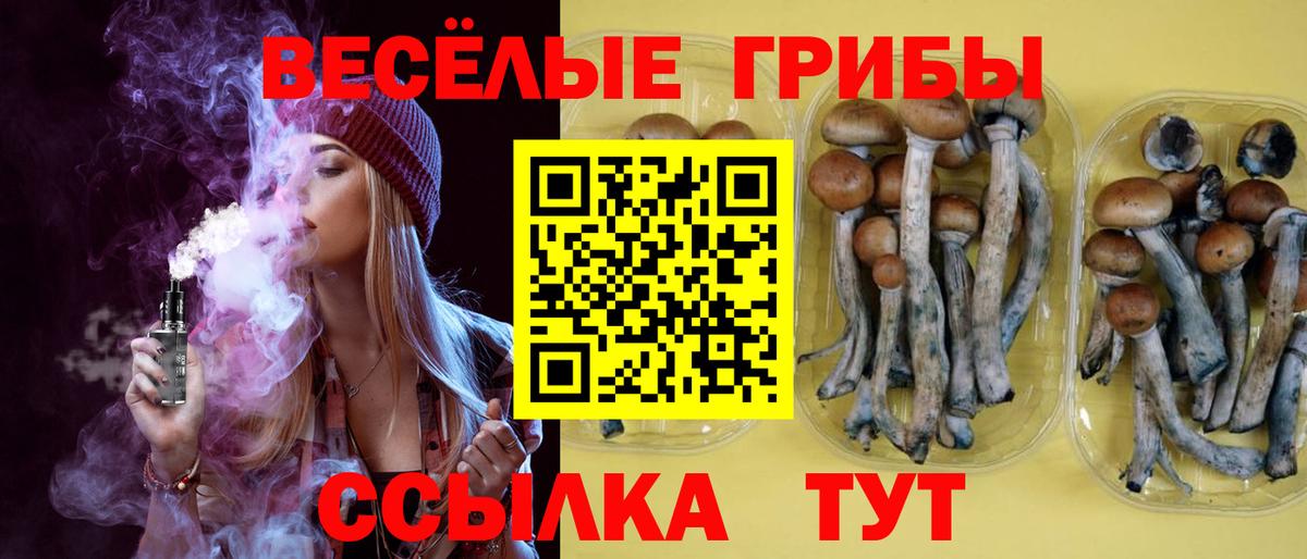 Псилоцибиновые грибы ЛСД Назарово
