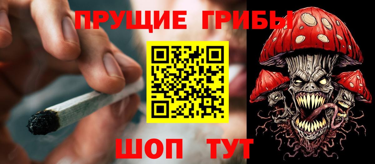 Галлюциногенные грибы Magic Shrooms  Вход с VPN  цена наркотик  Псилоцибиновые грибы GOLDEN TEACHER  Назарово 